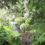 Jardins de Métis: petit ruisseau